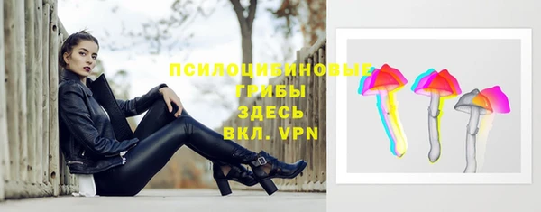 дмт Абаза