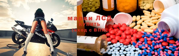 дмт Абаза