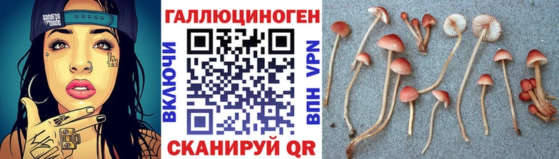 Галлюциногенные грибы GOLDEN TEACHER  даркнет сайт  Щёкино 
